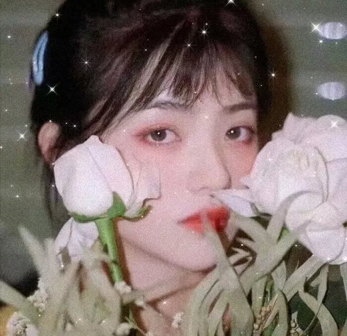 希望的翅膀
